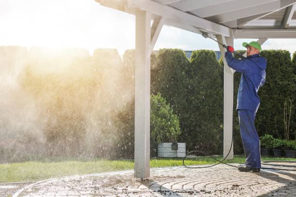 Best Fence Cleaning  in Blountstown, FL